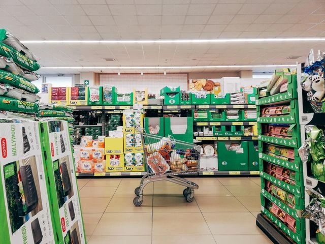 WizTick add grocery items screen